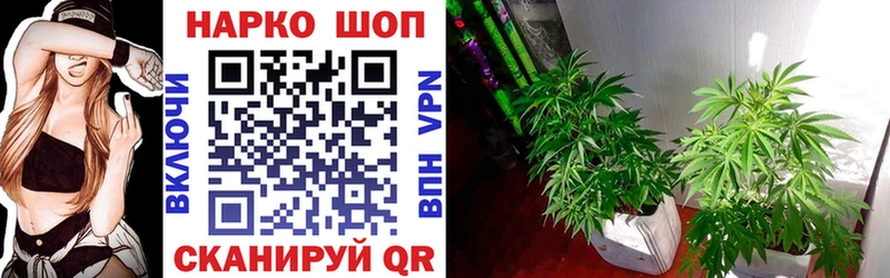 Купить АМФ  A-PVP  Меф  Каннабис  Гашиш  Подпорожье