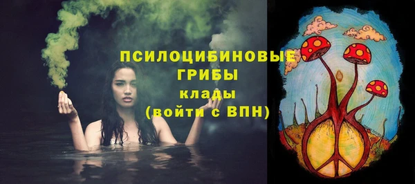 ГАЛЛЮЦИНОГЕННЫЕ ГРИБЫ Козельск