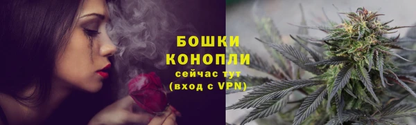 ГАЛЛЮЦИНОГЕННЫЕ ГРИБЫ Козельск