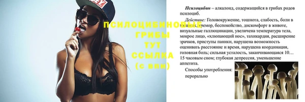 ГАЛЛЮЦИНОГЕННЫЕ ГРИБЫ Козельск